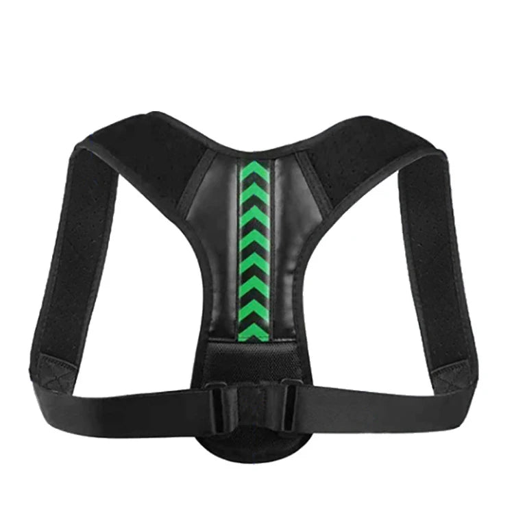 Clerflo™ Posture Support Belts