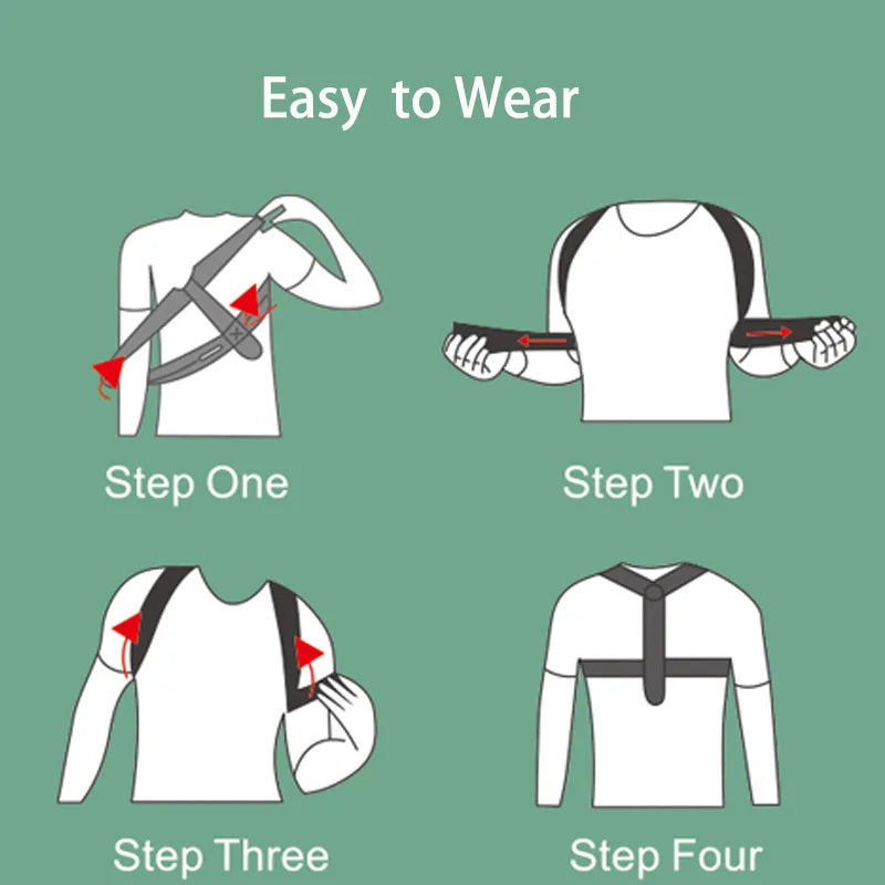 Clerflo™ Posture Support Belts