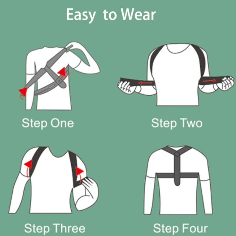 Clerflo™ Posture Support Belts