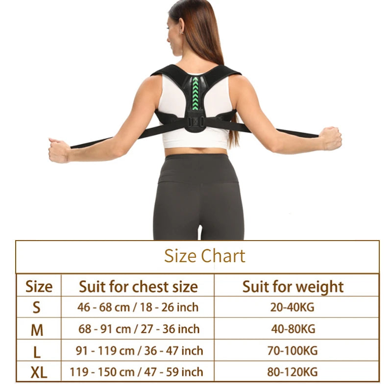 Clerflo™ Posture Support Belts
