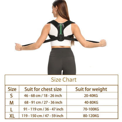 Clerflo™ Posture Support Belts